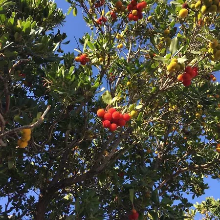 Martina Bed & Breakfast 3*