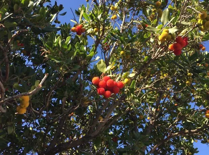 Martina Frühstückspension 3*